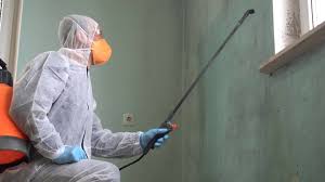 Why You Should Choose Our Mold Remediation Services in Daleville, IN