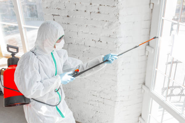 Best Mold Remediation for Healthcare Facilities in Daleville, IN